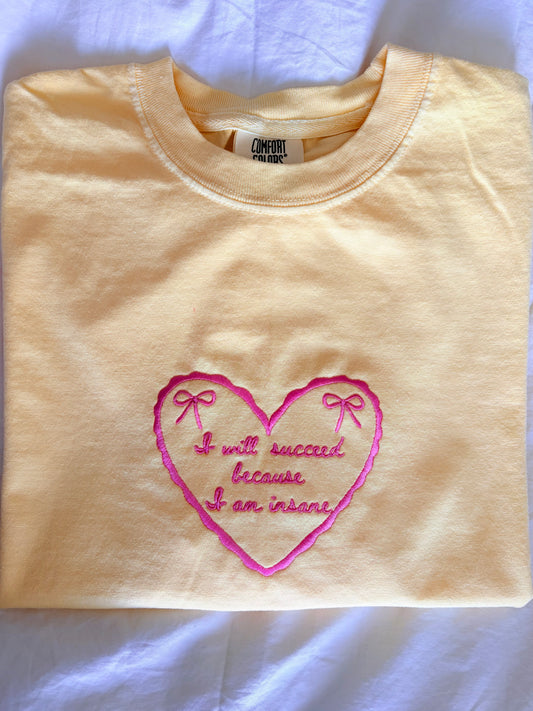 I will succeed because I am insane embroidery